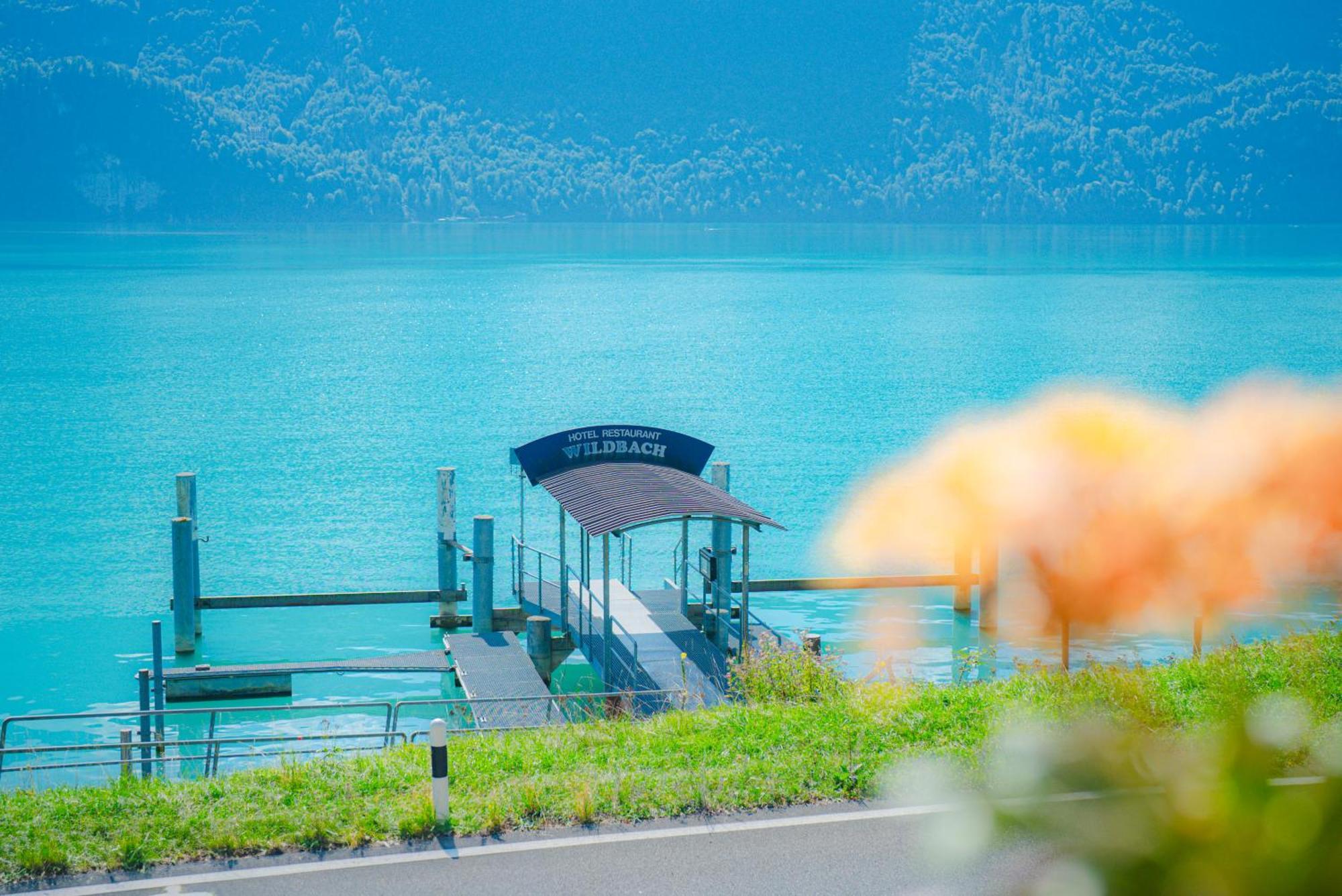 Hotel Wildbach Brienz Brienz  Eksteriør billede